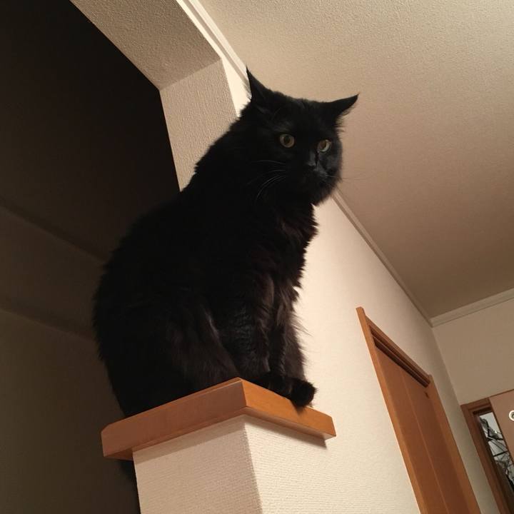 28bd30b3 be77 42d8 96a4 b3cbd0cce8f6 1519741269674