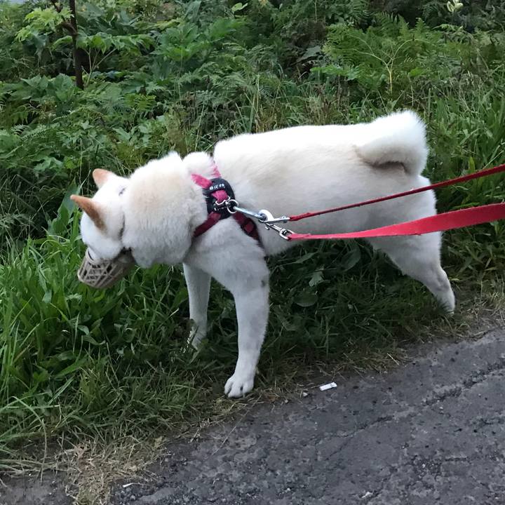 28bd7b80 9aa4 4f12 bdec 2f883b87f6ac 1537562472741