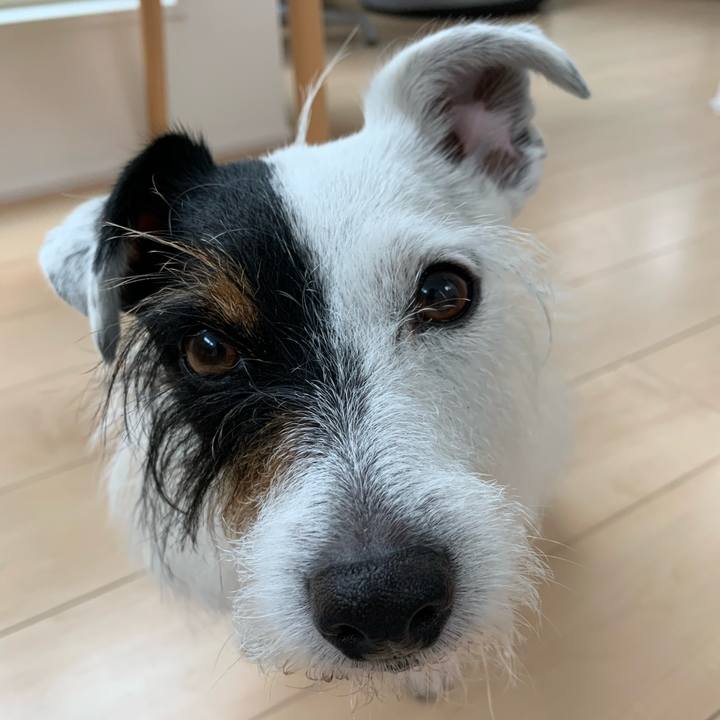 28bd8e13 7b81 49cb 8f78 7ee8fd2a124b 1592466176316