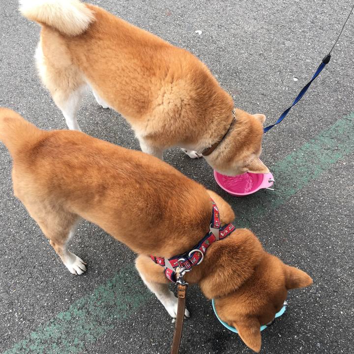 28bd92eb f108 4042 81c5 7a49fda932a9 1516418204715