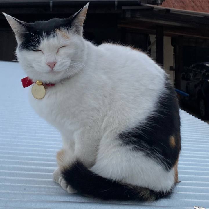 28bdc17c 892c 4679 a429 627cbebcbff7 1640517333954