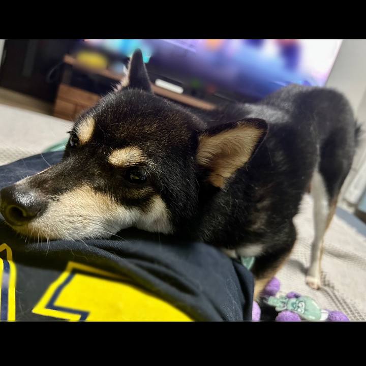 28bdc683 b3e1 44c1 8e6b 33e8d8d96070 1688999019975