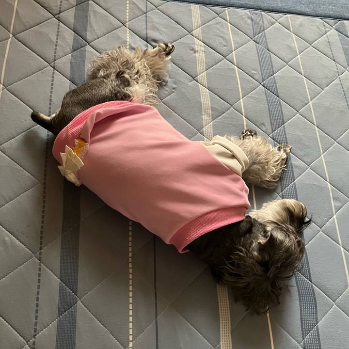 28bddc9c 76ef 4b1a aa3d 310e2734d093 1746880259097