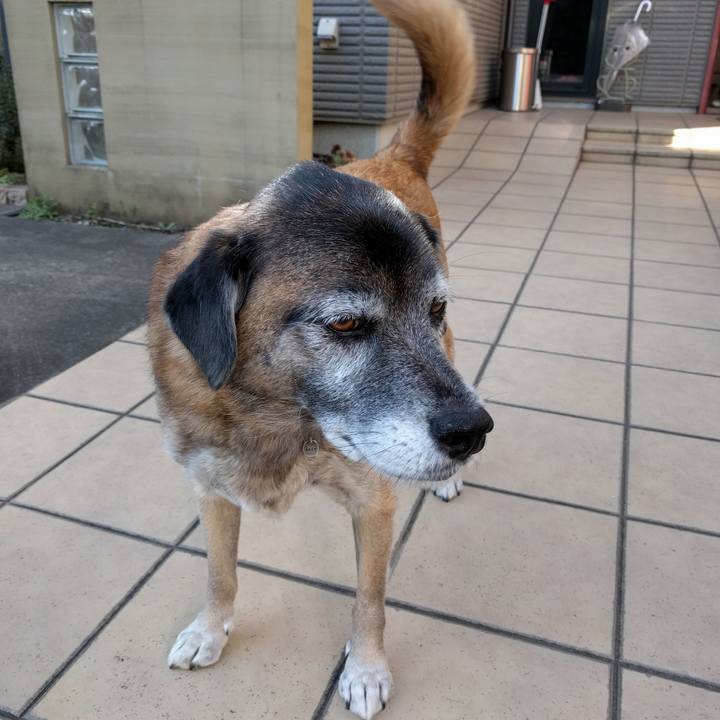 28bddf22 95a9 4e63 bf49 cfc86c32760e 1512624984404