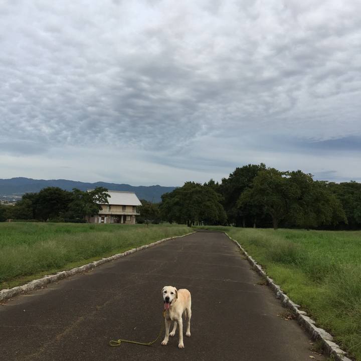 28bdf3cd 29d9 4f51 9e17 6ef204fd646f 1536742302604