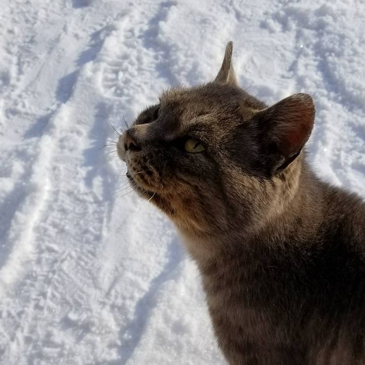 28be031f aac3 43d0 b619 af944fe906f1 1519712938734