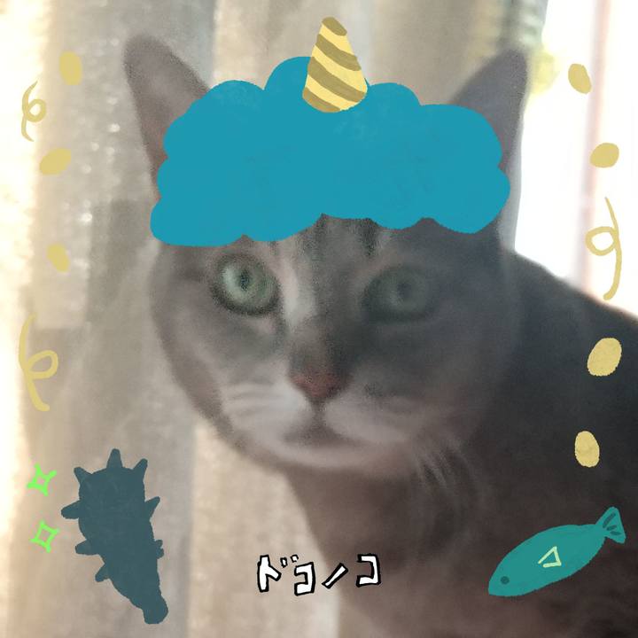 28be3b15 cb31 4b67 a3b8 717e3ece2f9c 1706930829315