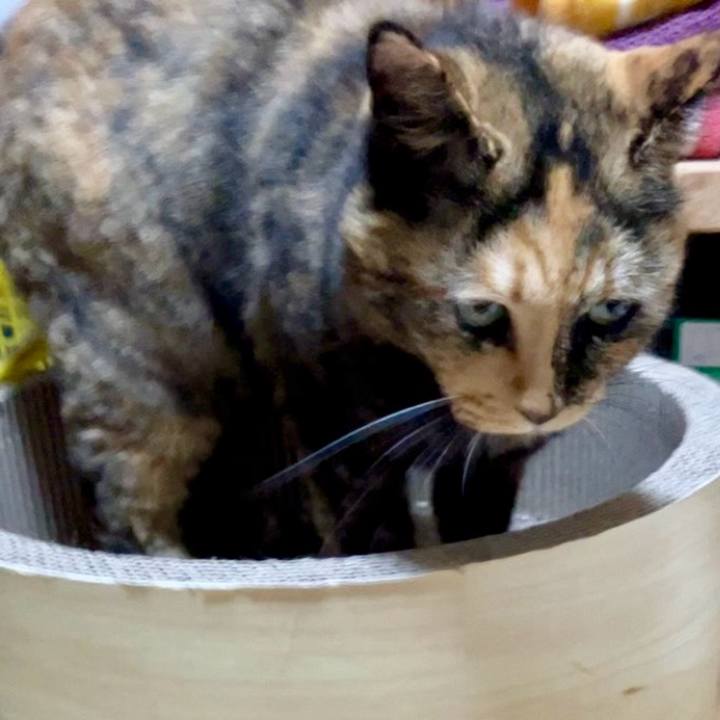 28be5c45 fbdc 4669 a8aa c1c75e813443 1730489995182