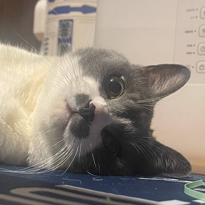 28be6f0f 8f25 4edf 87a3 841cd0fd15d9 1713438274125