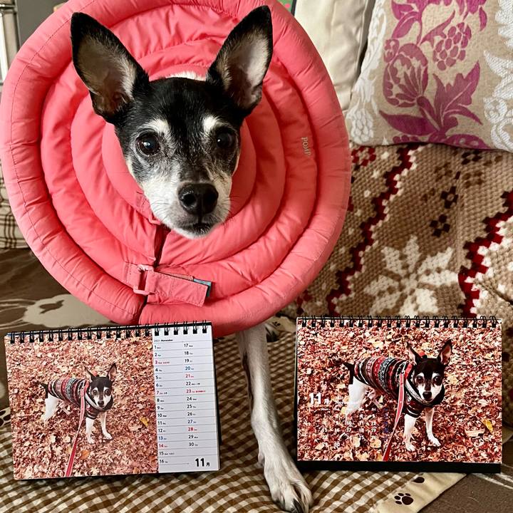 28be95f9 4bc5 4acc 8017 18e3d95ef99f 1635804102115