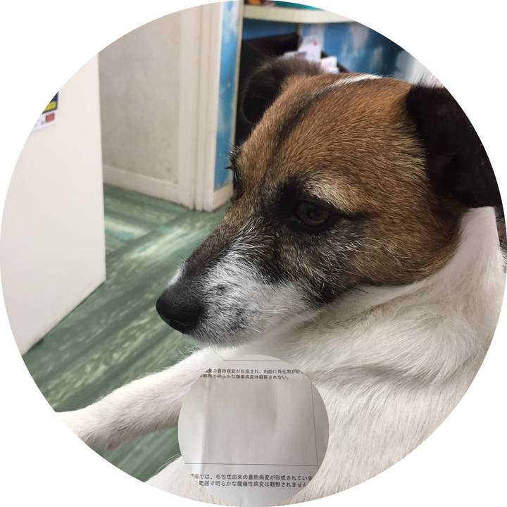 28bea2a0 9040 499f 8f2b 98e1f9769ce1 1563845398629