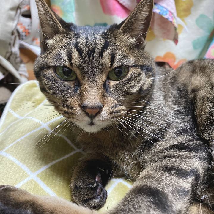 28bead42 1c4f 490a 966b a50a671829b4 1642343060742