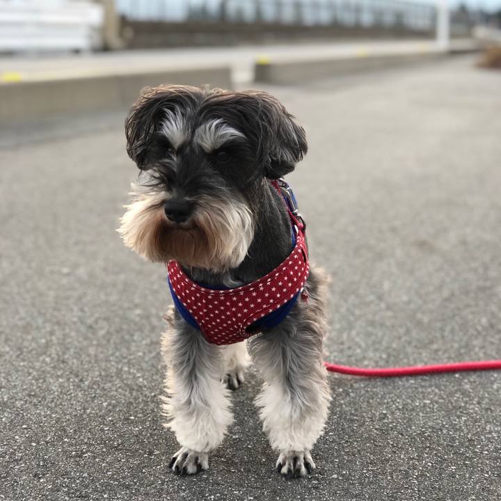 28bef47b 4bb6 4d03 af59 9346ba413db9 1551571677305