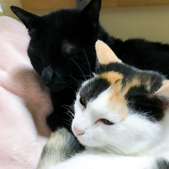 28bf011d 597d 4082 8688 e76a9dfac715 1514213293175