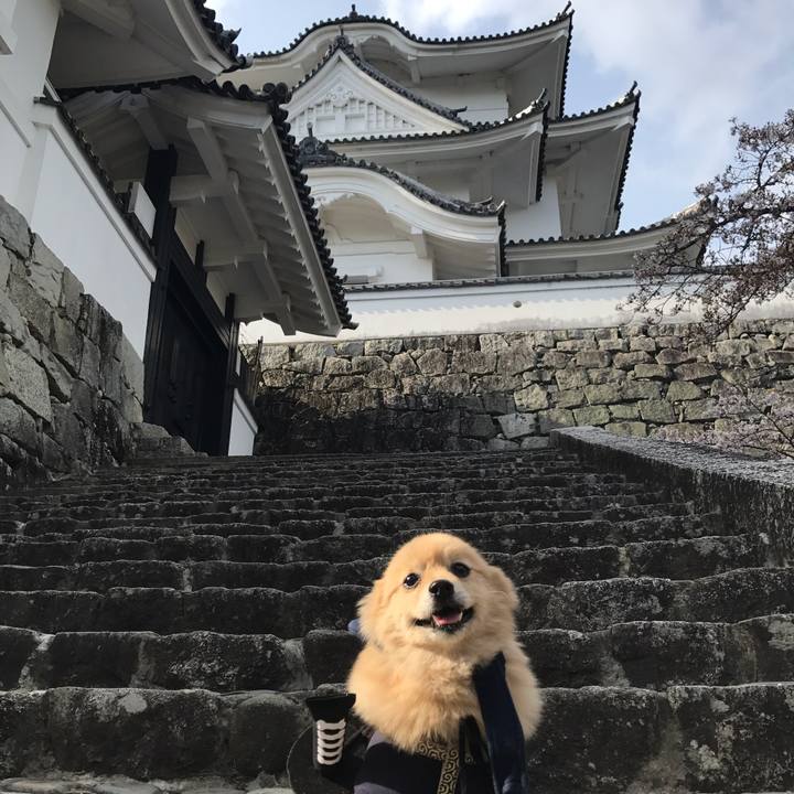 28bf29b8 6dae 4859 a638 a9af69d29e0d 1590065092068