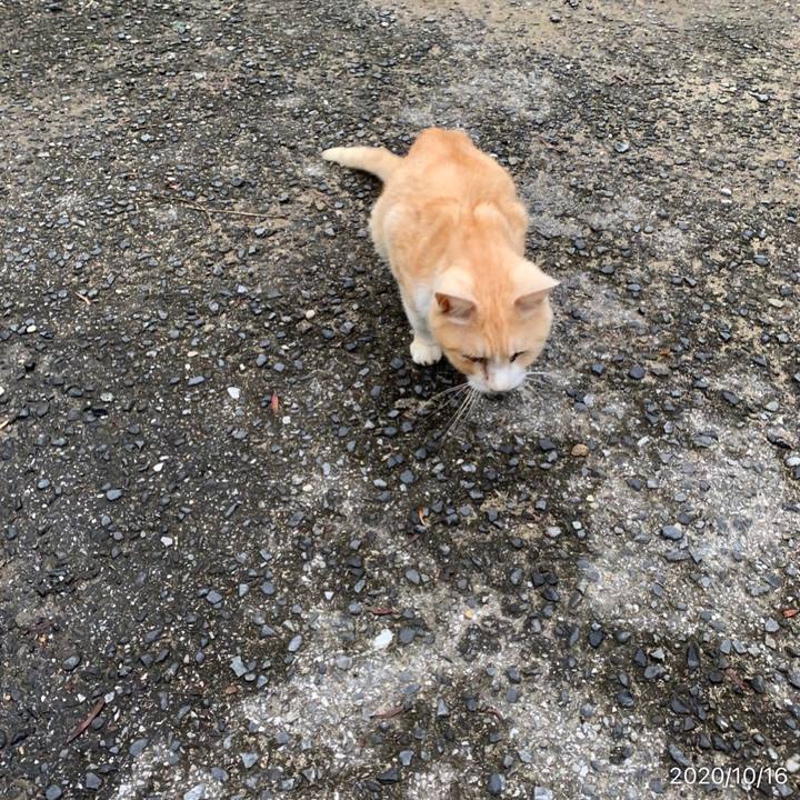 28bf3a55 0910 4f1e 83b6 26a417e4adac 1602799451880