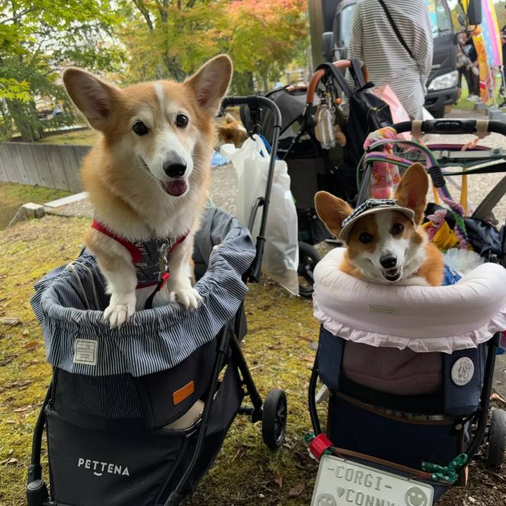 28bf5c41 351d 498e 8a5f a67ca59a7e9b 1760272364110