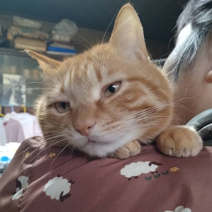 28bf8984 bb99 4b42 9cb3 5ebd5b31bed0 1711188728141