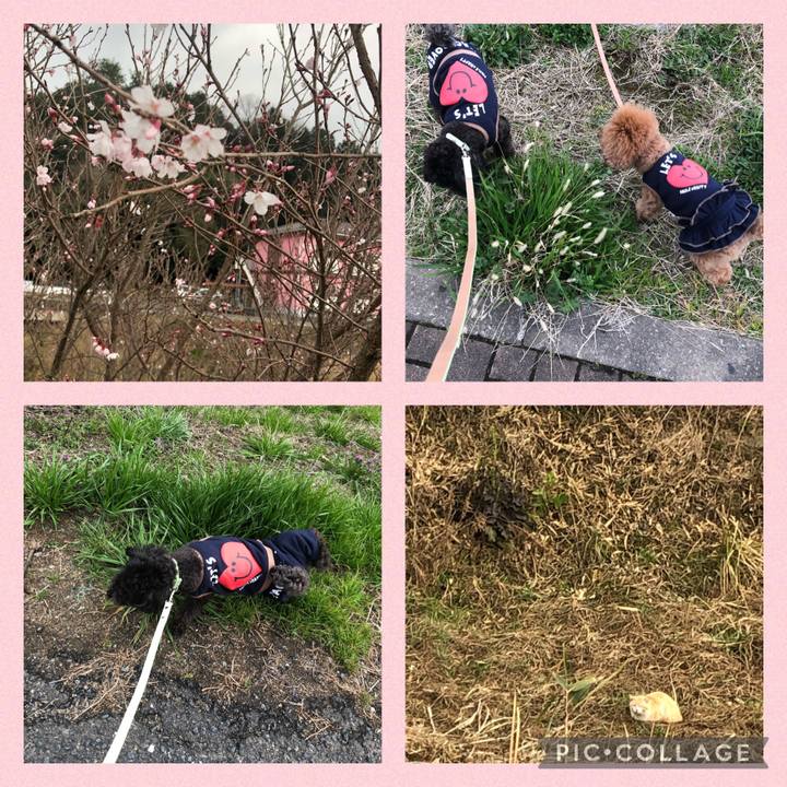 28bfbe0a 8133 4217 b2e7 9de525057ef6 1615621982006