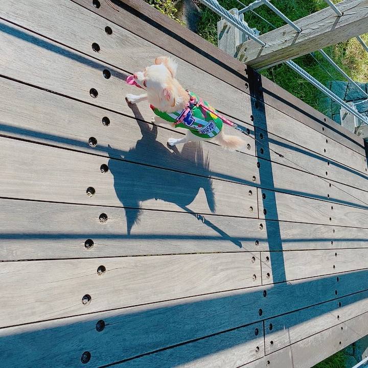 28bff6a8 7563 4137 b895 6b1ae05f45af 1632134293450