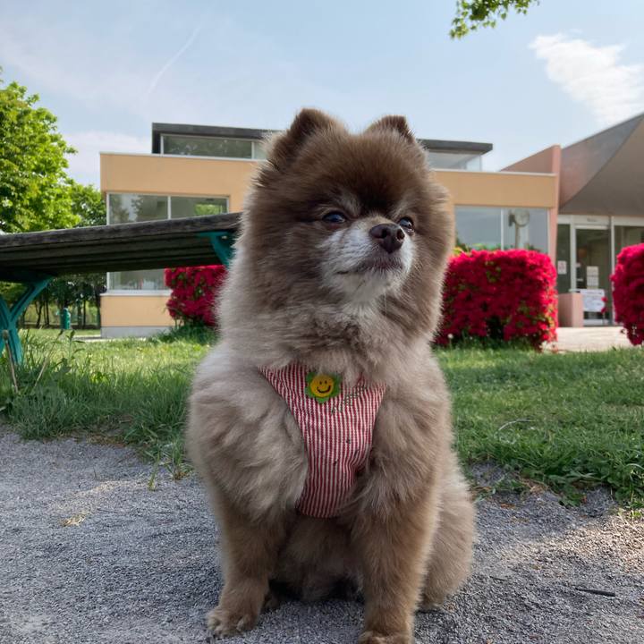 28c00cf9 6e71 424e 8bfe abc6c47fb07f 1653089871773