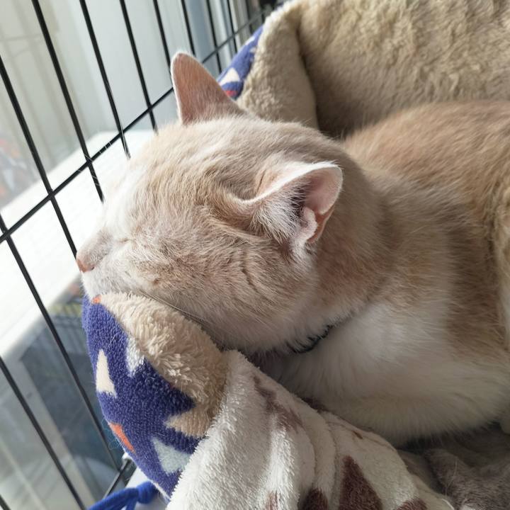 28c02527 6cb2 4b07 a737 4ca6f64f2b11 1686263572883