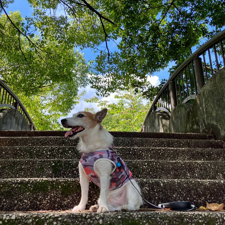 28c04255 7fd2 4f5c 8554 2691d0f5e83b 1694042912221