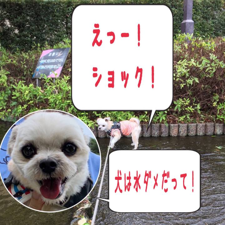 28c0572f 817b 417b b9f5 3f641295b39a 1562499502516