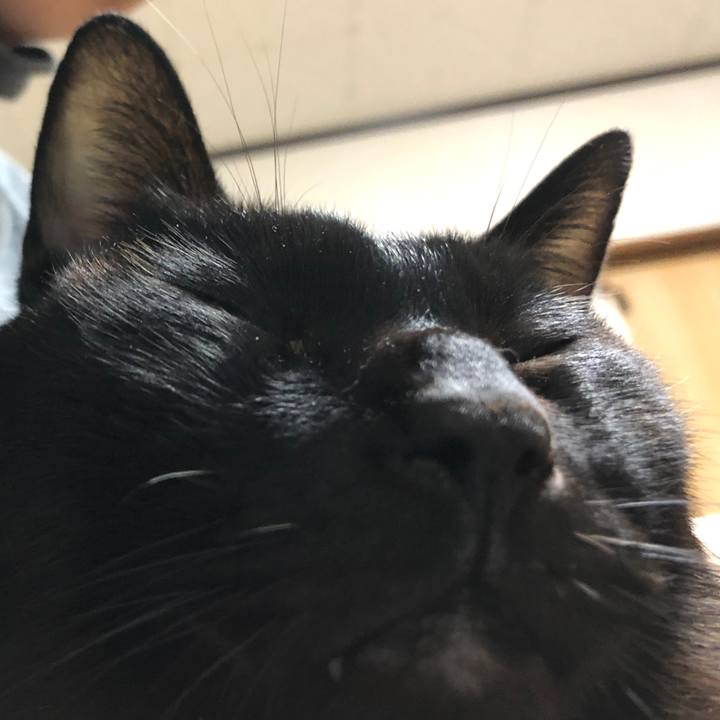 28c0670d f23d 445a 905b 7abc74a5f513 1737194609020