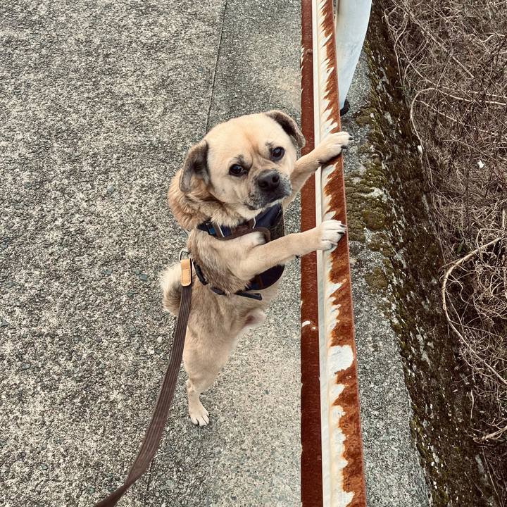 28c0b9d8 b617 43ef 8e3c 918fd8f8ec9c 1769155404963