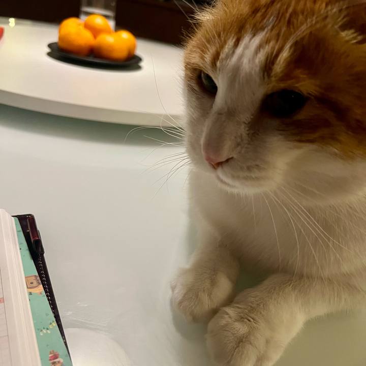 28c10d1d 2442 408f 92ff ee08c6f32baf 1770815249238