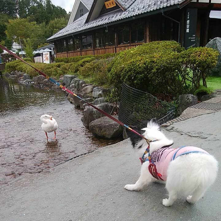 28c12c40 ed39 495a b8b0 9cf979002239 1537260912139