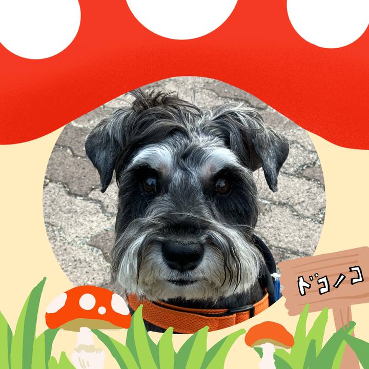 28c12e1b d2fc 4d44 b16e 0e35149b3642 1729082638402