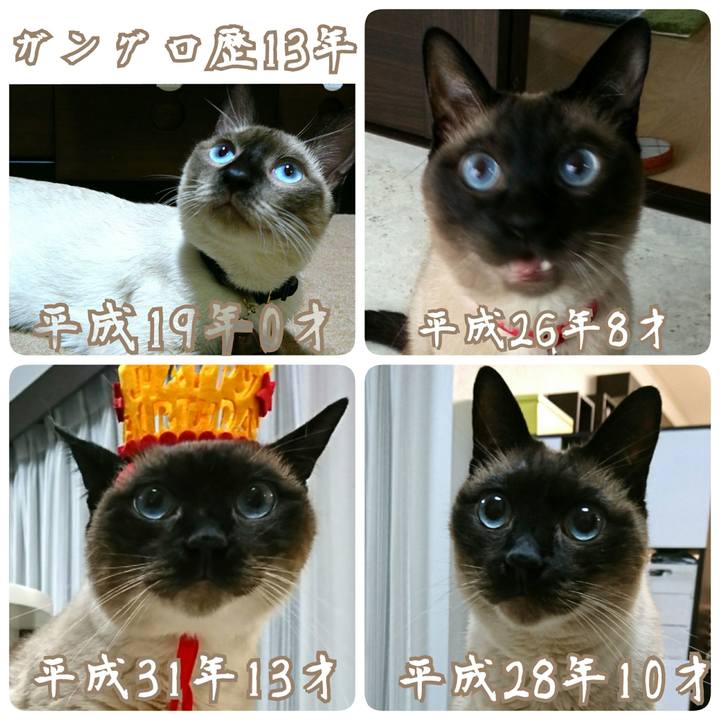 28c14168 b702 42bc a639 5b678307b10d 1556545233044