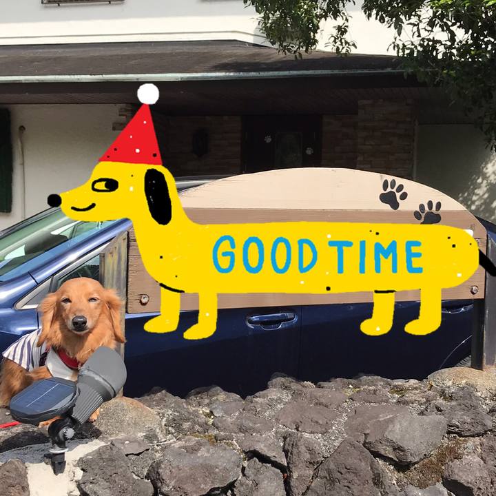 28c16737 2466 40d9 b945 320de0abcd95 1556844128901