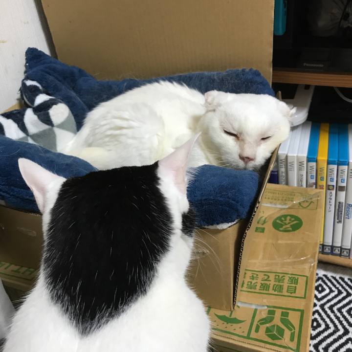 28c18b36 05e3 4e9a a72d 08ecac111227 1539615862031