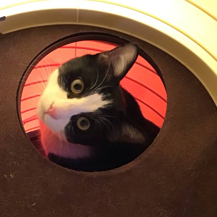 28c193d6 776f 4186 8c5b 57e0fcccb9d1 1646814153524