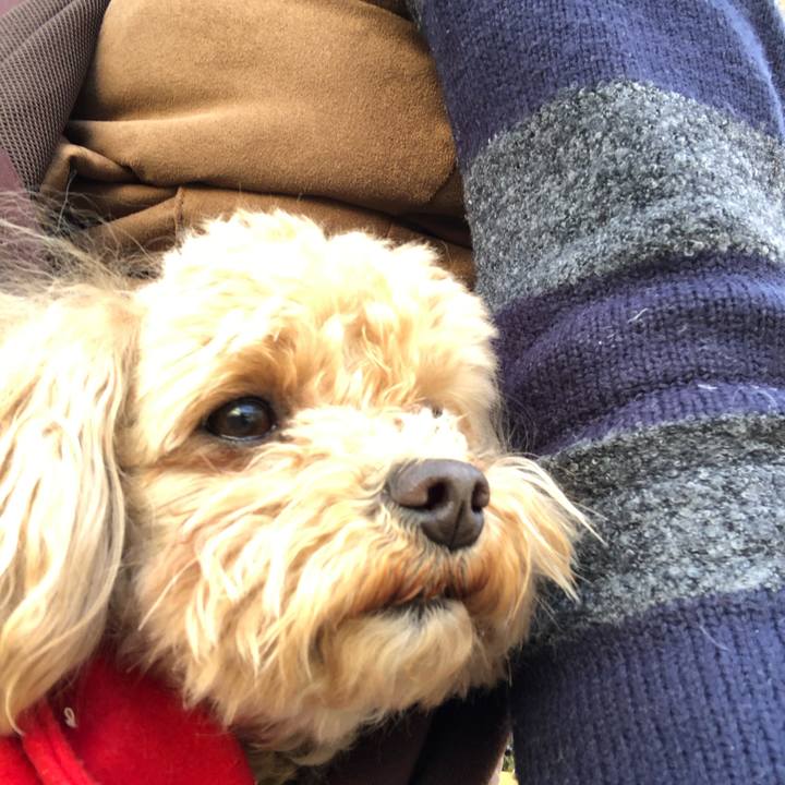 28c1972a f806 484c b00b b37e88f92767 1677941297704