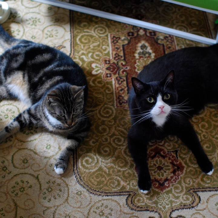 28c1ae99 2361 491f 94f2 cadc4f8d472c 1512566643065