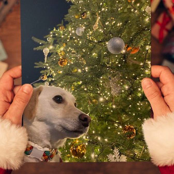 28c1d38c 71fd 4059 b375 c5d5dba8fae3 1608817603481