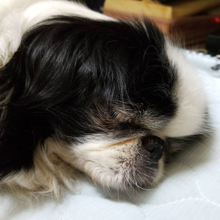 28c1d462 d8ed 4925 a643 0ed546496698 1527682075518