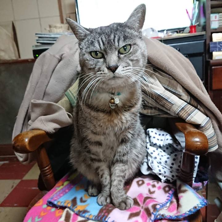 28c22d70 d8ff 461b 82c7 475c4592f417 1605655729303