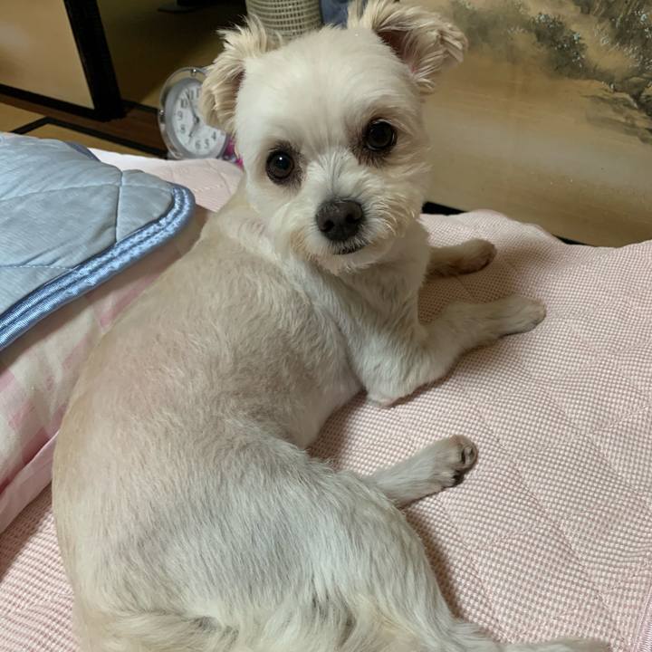 28c234b3 d5f1 4f09 80a7 3a7af95456b9 1595325576955