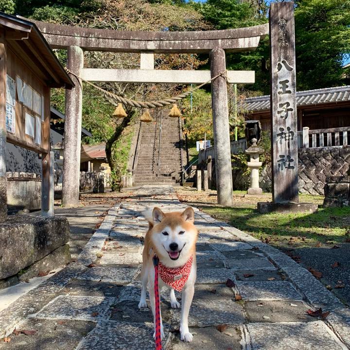 28c2c147 cbaf 4ec4 bbec e51f6b69d7e8 1666083052658