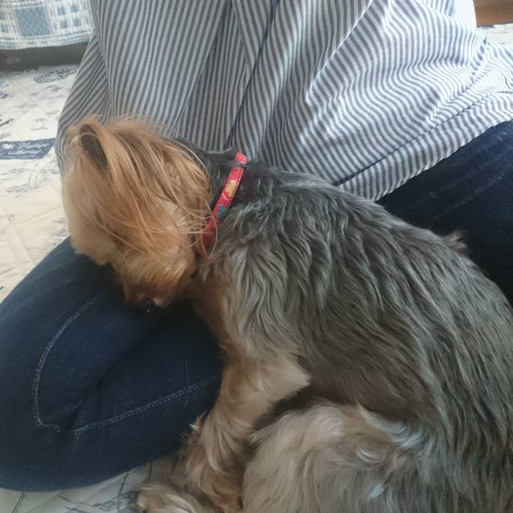 28c2d449 2a30 4389 820c 7e19bcffa157 1558430381358