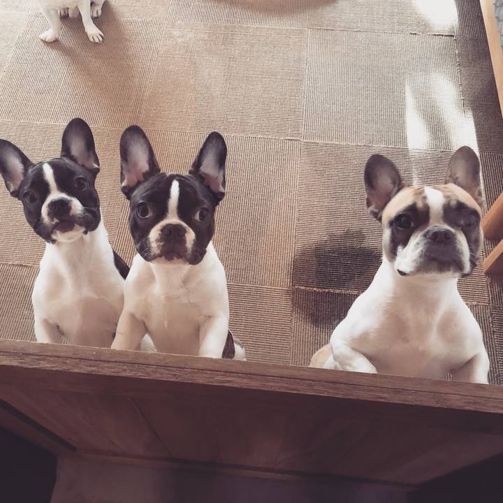 28c3226c a7ac 4283 804b 5ac06a4efc27 1605739640440