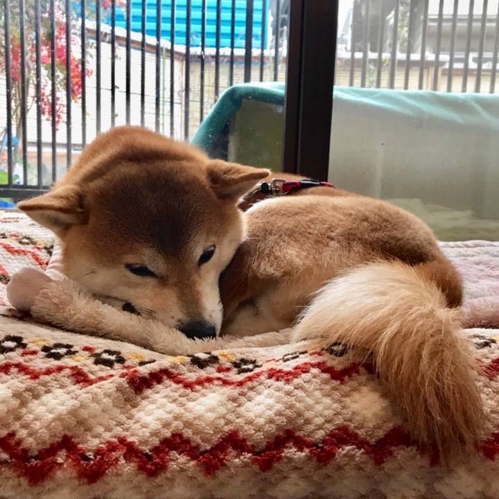 28c36480 1333 444b a61e 5c00b807ba13 1518062413367