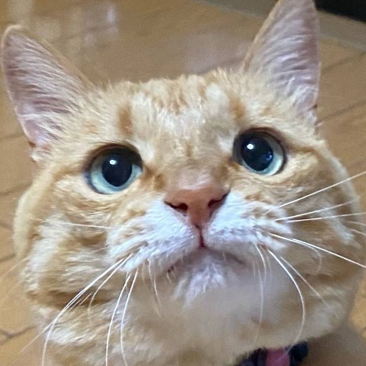 28c3d35a 2995 49f0 85ad f4f21afe56e1 1701516539774