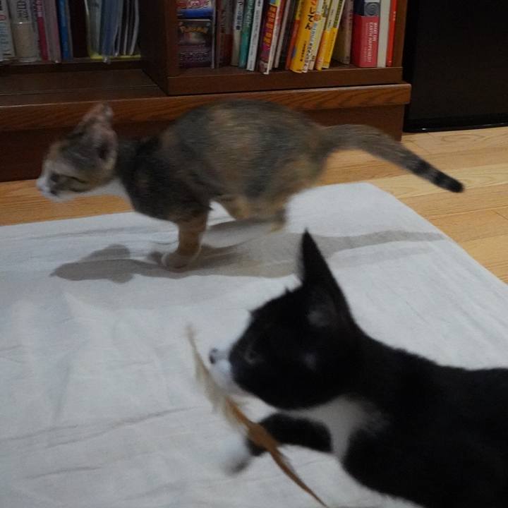 28c3fb39 f872 4d8b bfd1 0c645e99ed7e 1568209495051