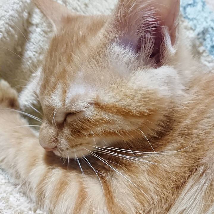 28c402c1 4944 404a 913d f307ff2ec500 1632746568353